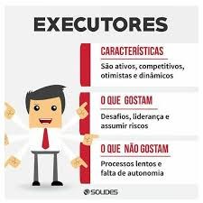 Perfil Comportamental - Mapa e Análise