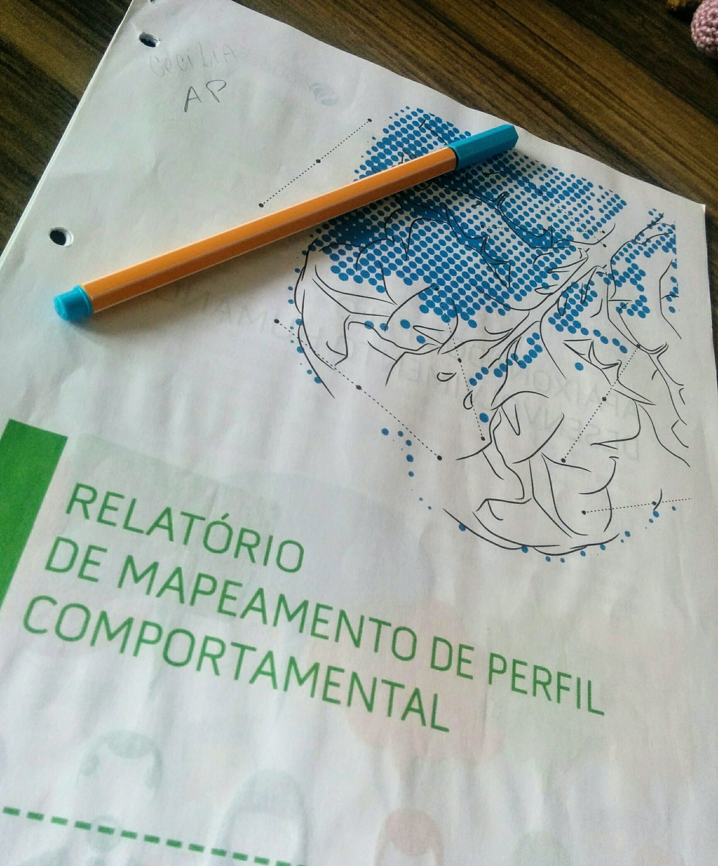 Perfil Comportamental - Mapa e Análise