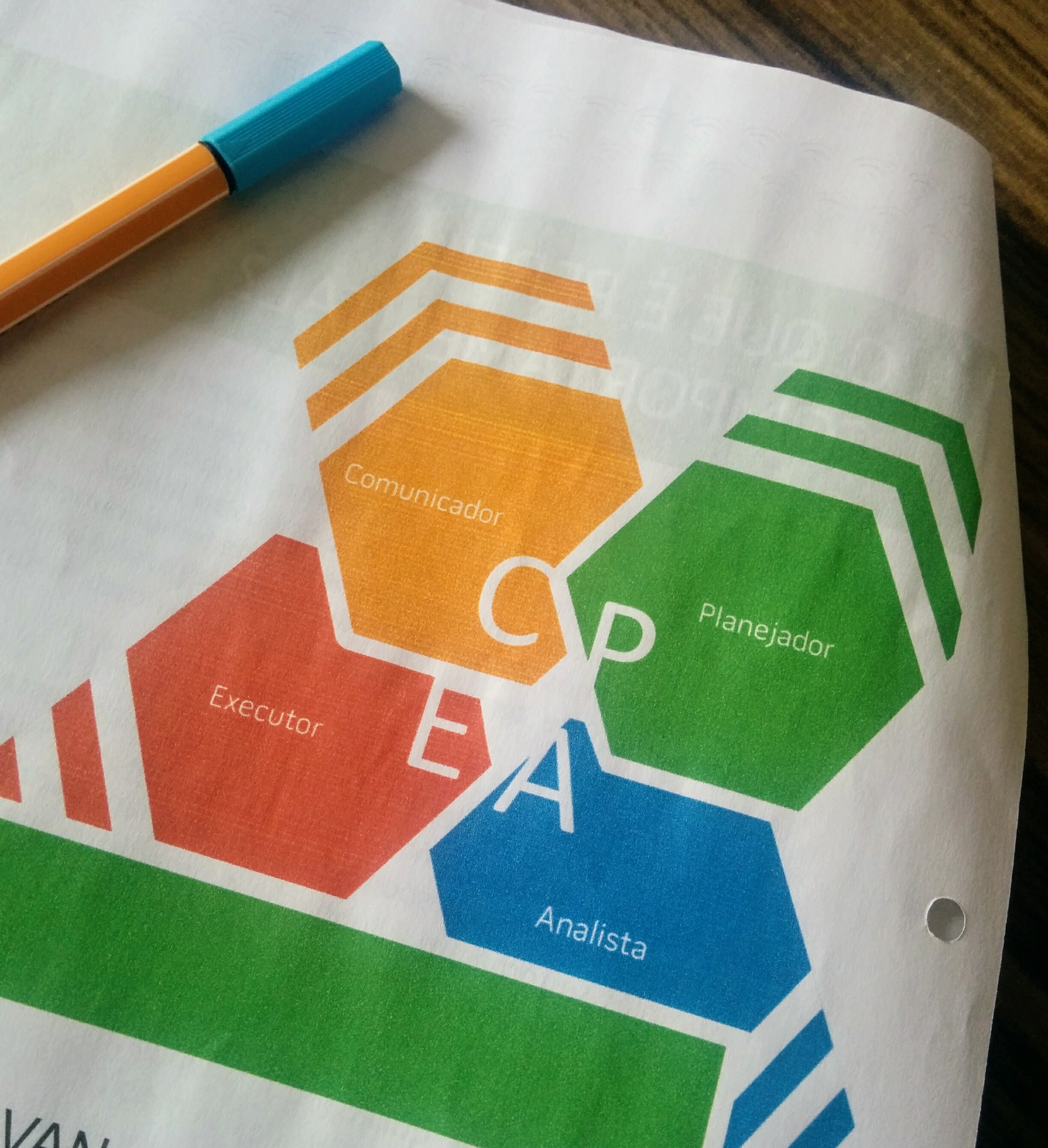 Perfil Comportamental - Mapa e Análise