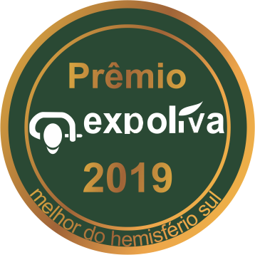 ID para sua empresa e criação de conteúdos gráficos e web